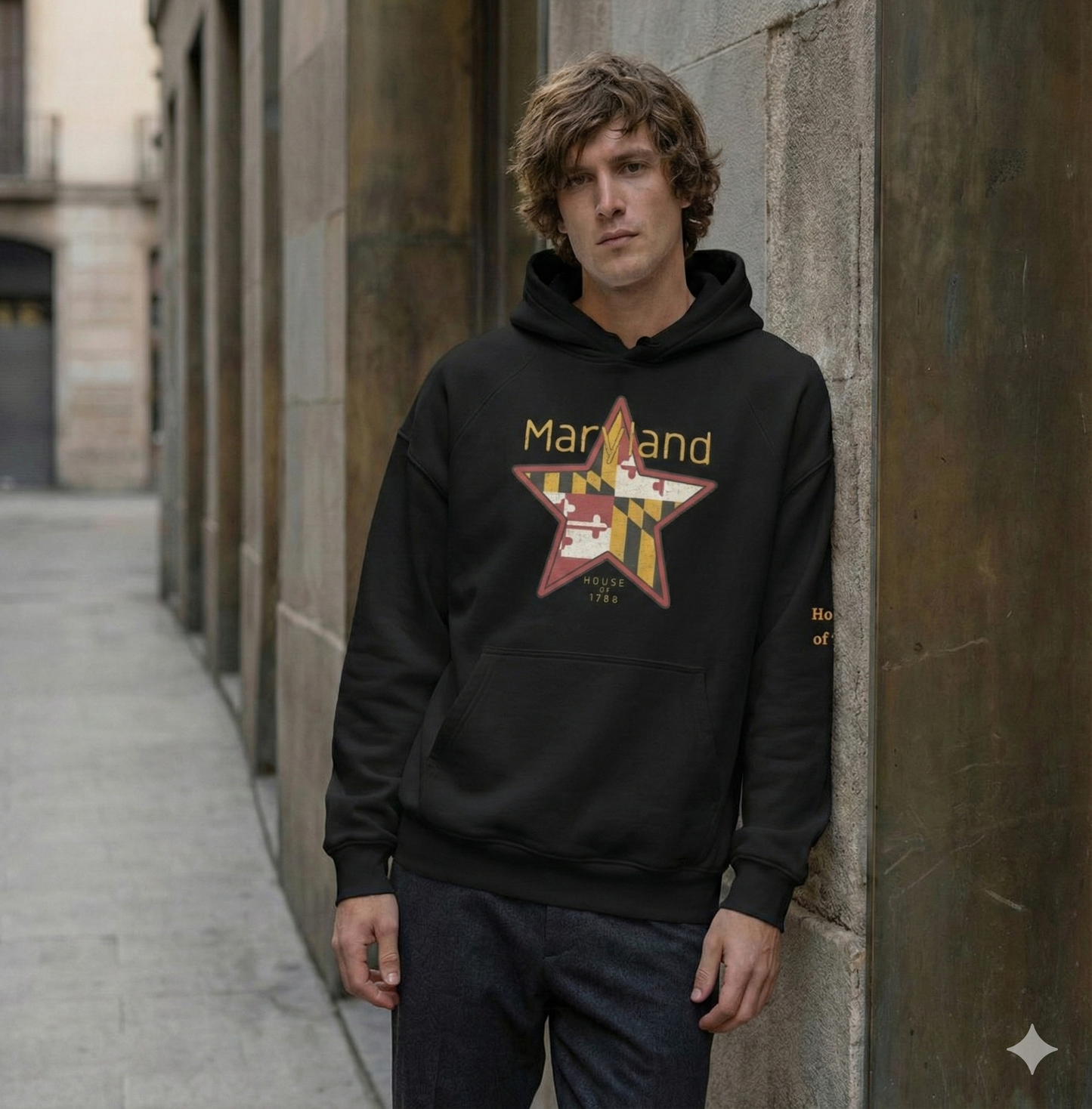 Distressed Maryland Flag Star Unisex Hooded Sweatshirt