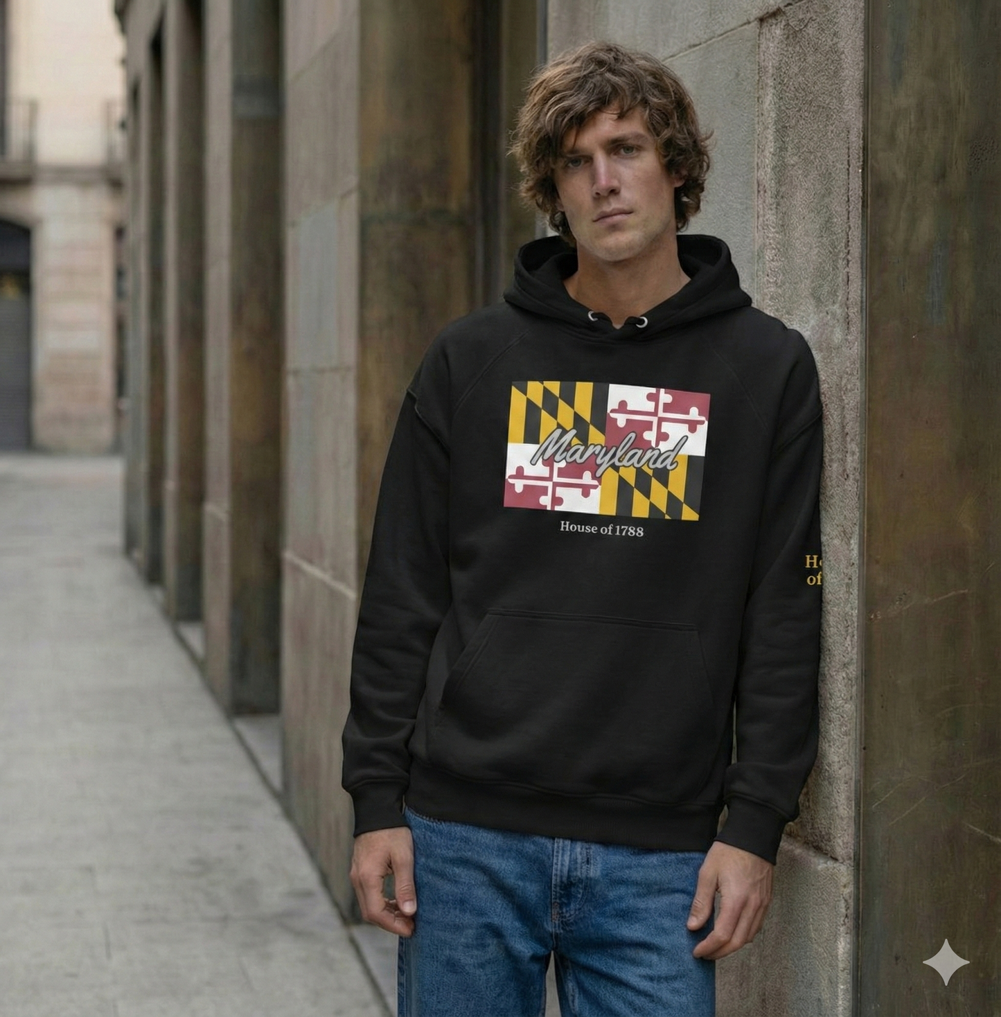 Maryland Script Flag Hoodie | House of 1788