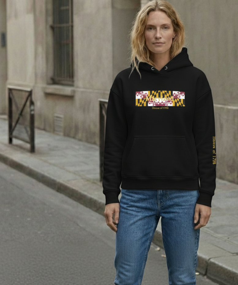 House of 1788 Banner Flag Hoodie